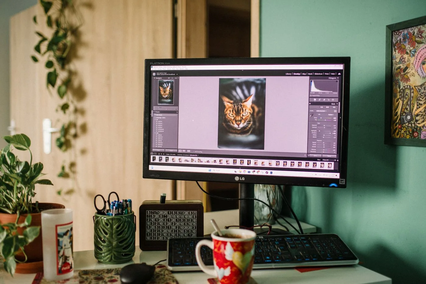 Bildbearbeitungssoftware auf einem Monitor